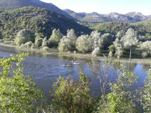 Apartment with Lake View room in Apartman Sofranac