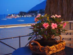 Beach House Ligia Lefkada Greece