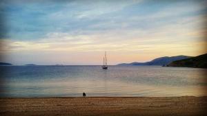 Theo's Vacation Home Skyros Greece