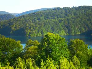 Guesthouse Blazenka Hodak