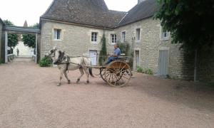 B&B / Chambres d'hotes Chateau De Serrigny : photos des chambres