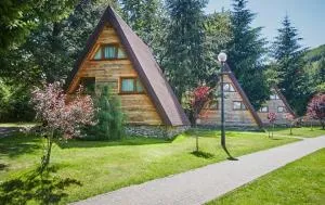 Domki Czarny Groń - 日基