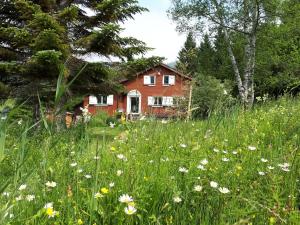 Talu Chalet Chic Wildhaus Šveits