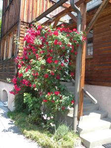 Haus Constanze Neumarkt In Steiermark Austria J2ski