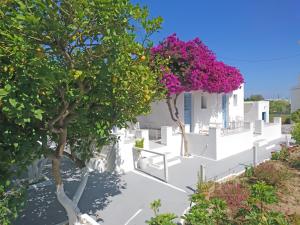 Yiannis Studios Paros Greece