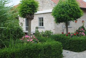 Vakantiewoning t Blooteland