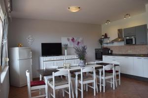 Apartment Branka