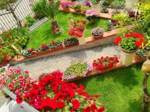 B&b il Giardino da Pina img16