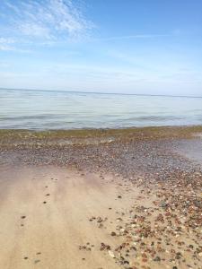 Studija VANAGUPĖS 13