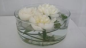 Amami Alfredo