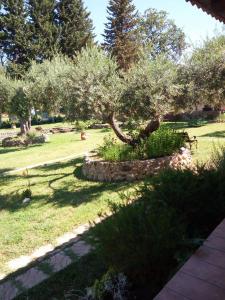 Affittacamere Villa Brazzano