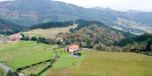 Ferienhaus H&AP Rural Merrutxu Ibarrangelu Spanien