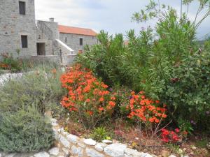 Althea Village Lakonia Greece