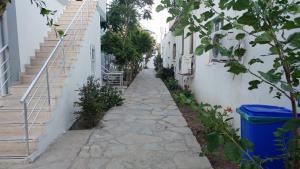 Palmaris Apart Palamutbuku