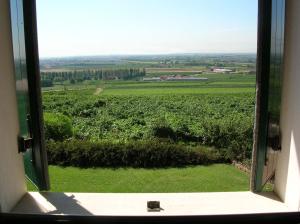 Family Room room in Agriturismo Le Bianchette