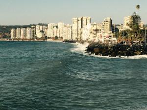 Ocean Pacific Dreams