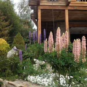 Chalet Rouge Sorbier