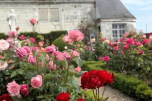 Maisons de vacances Le Gite du Chevalier : photos des chambres