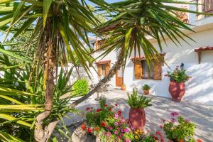 Romanza Villas Lasithi Greece