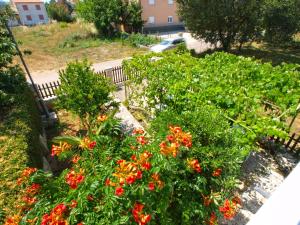 Apartments Zlatko 1397