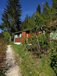 Chalets Chalet Daria : photos des chambres