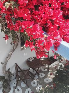 Pension Galini Amorgos Greece