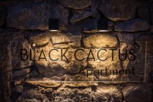Black Cactus Myconos Greece