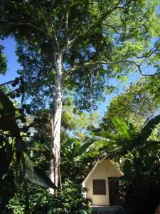 Chalés Sítio do Alemão - 圣贝内迪图