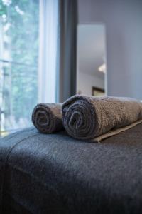 LION apartments - Your own apartment in Cracow