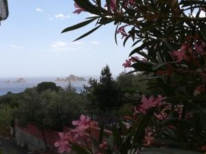 Casa Vacanze Bellavista