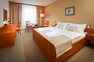 Superior Double or Twin Room with City View room in Spa Hotel Devin