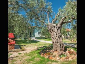 Villa Elia Thassos Greece