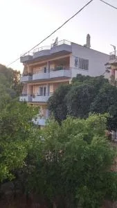 Studios Theodore - Léïka