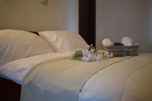 Hotel Saint Michael Trnava Slovacia