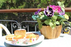 Il Nuovo Gabbiano img49