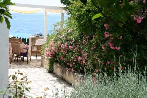 Villa Nissaki Olive Press and Cottage Corfu Greece