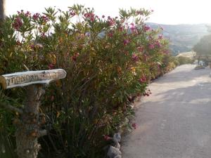 Mar-Nik Village Milos Greece