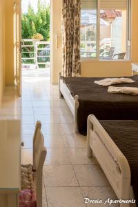 Drosia Apartments Zakynthos Greece