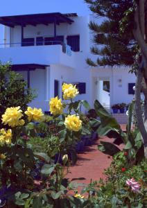 Porto Bello Hotel Apartments Lasithi Greece