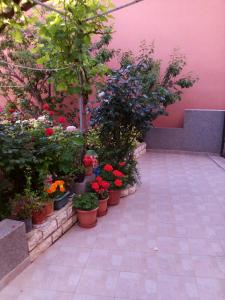 Apartment Flores centre