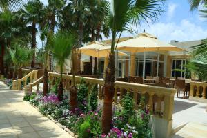 the ksar djerba charming hotel and spa