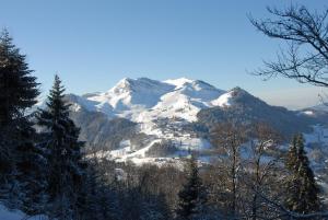 Hotels Hotel les skieurs : photos des chambres