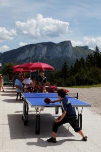 Hotels Hotel les skieurs : photos des chambres