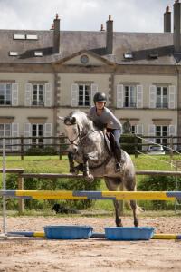 Hotels Chateau d'Ygrande - les Collectionneurs : photos des chambres