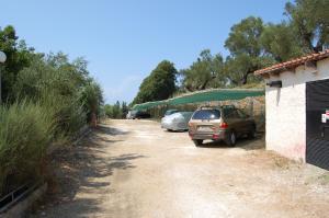 Zante Palace Zakynthos Greece