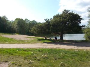 Cudodomek na Mazurach w Woszczelach koło Ełku