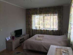 Studio Apartment room in Rocca Apartments