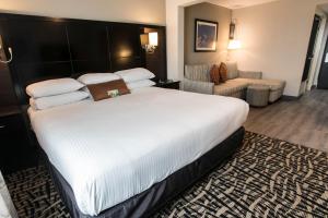 King Room - Non-Smoking room in Wingate by Wyndham Dallas Love Field