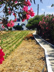 Pension Galini Amorgos Greece