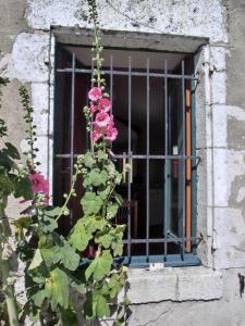 Maisons de vacances gite Route des Chateaux : photos des chambres